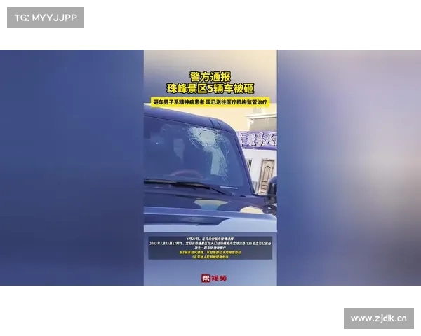 女子因精神病发作当街砸车 家属承诺全额赔偿损失 女子因精神病发作当街砸车 家属承诺全额赔偿损失